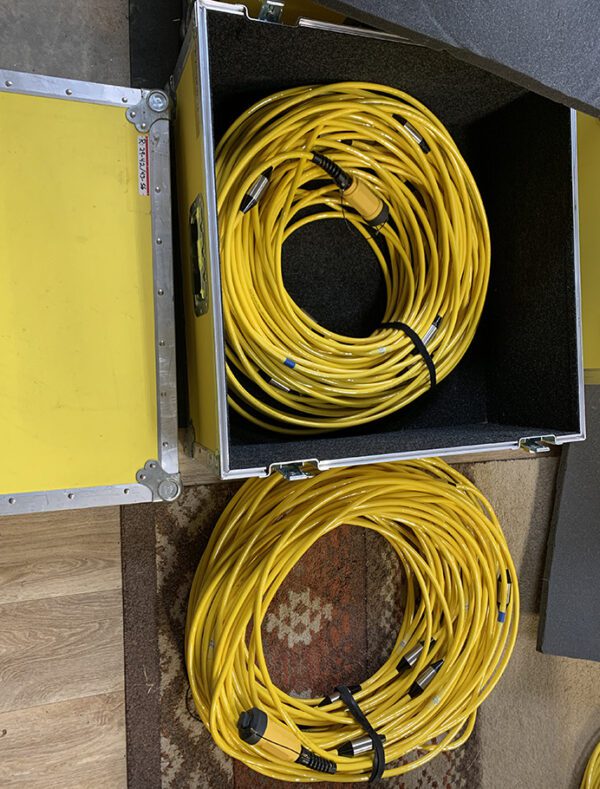 AGI Supersting R8/IP/SP WIFI Resistivity Meter in Pelican box - Image 7